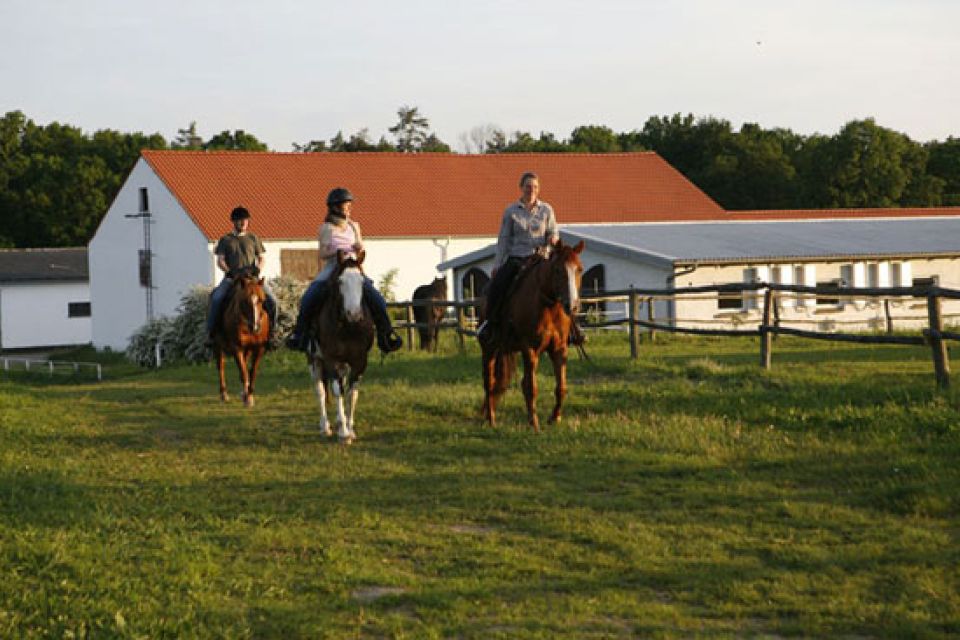 Reiterhof Anlage