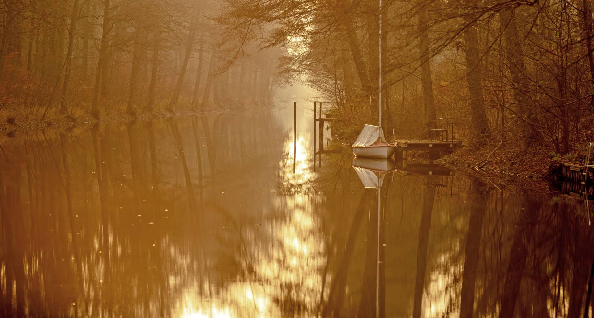 Schorfheide beeindruckend