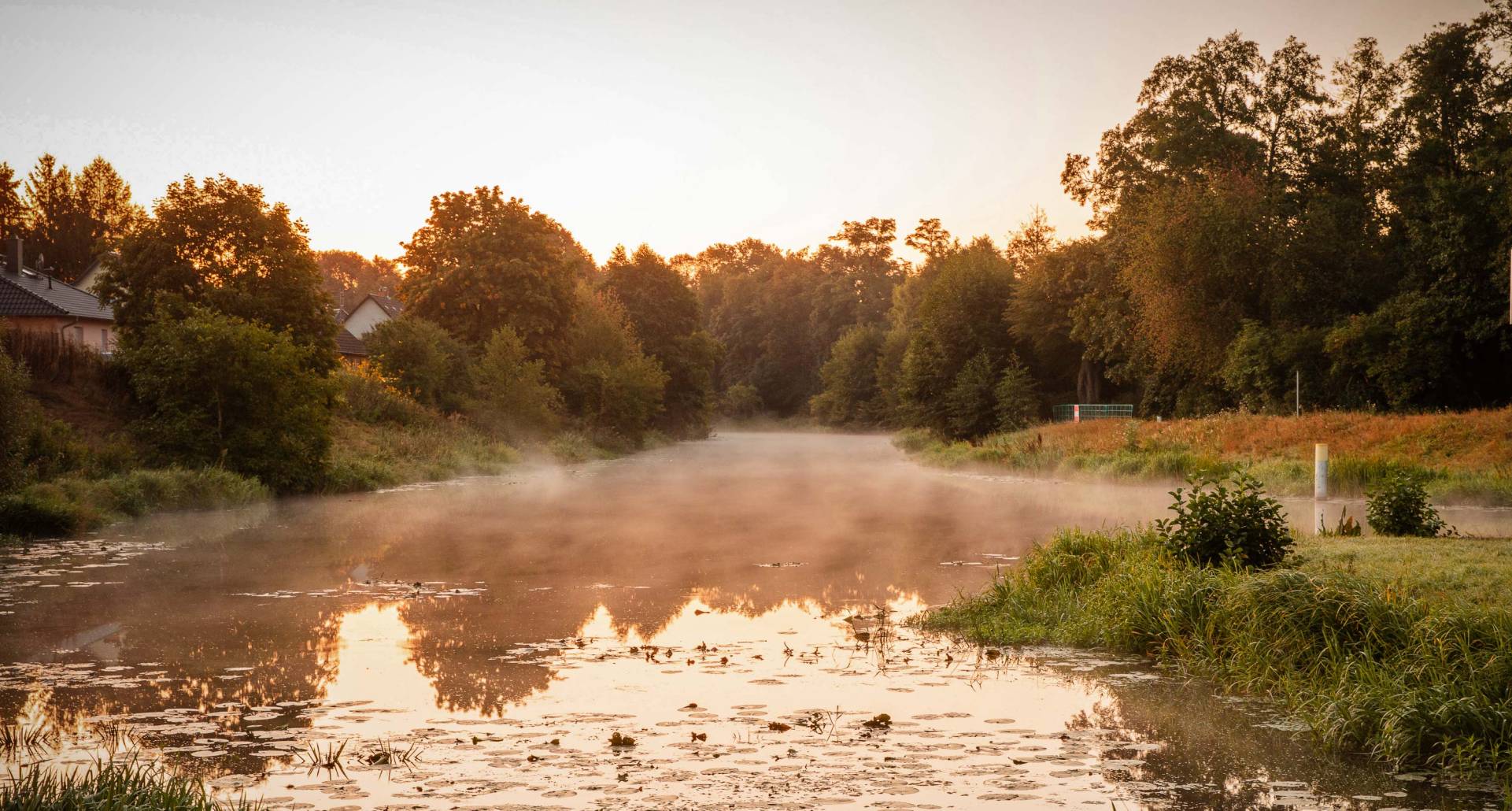 Schorfheide beeindruckend