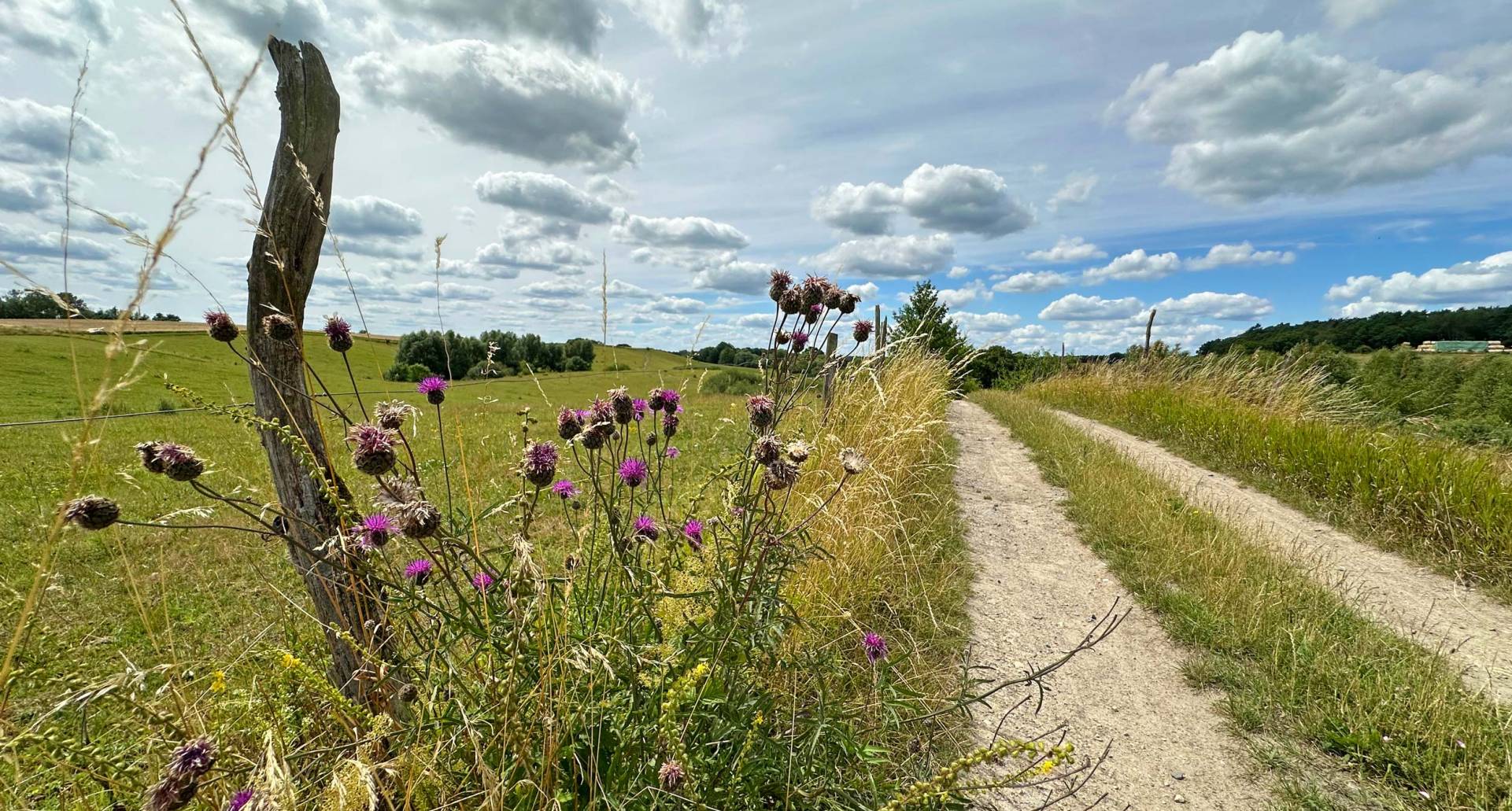 Hügellandschaft Schorfheide