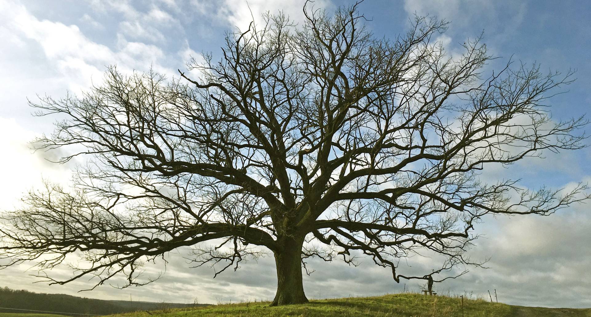 Schorfheide historische Gebäude