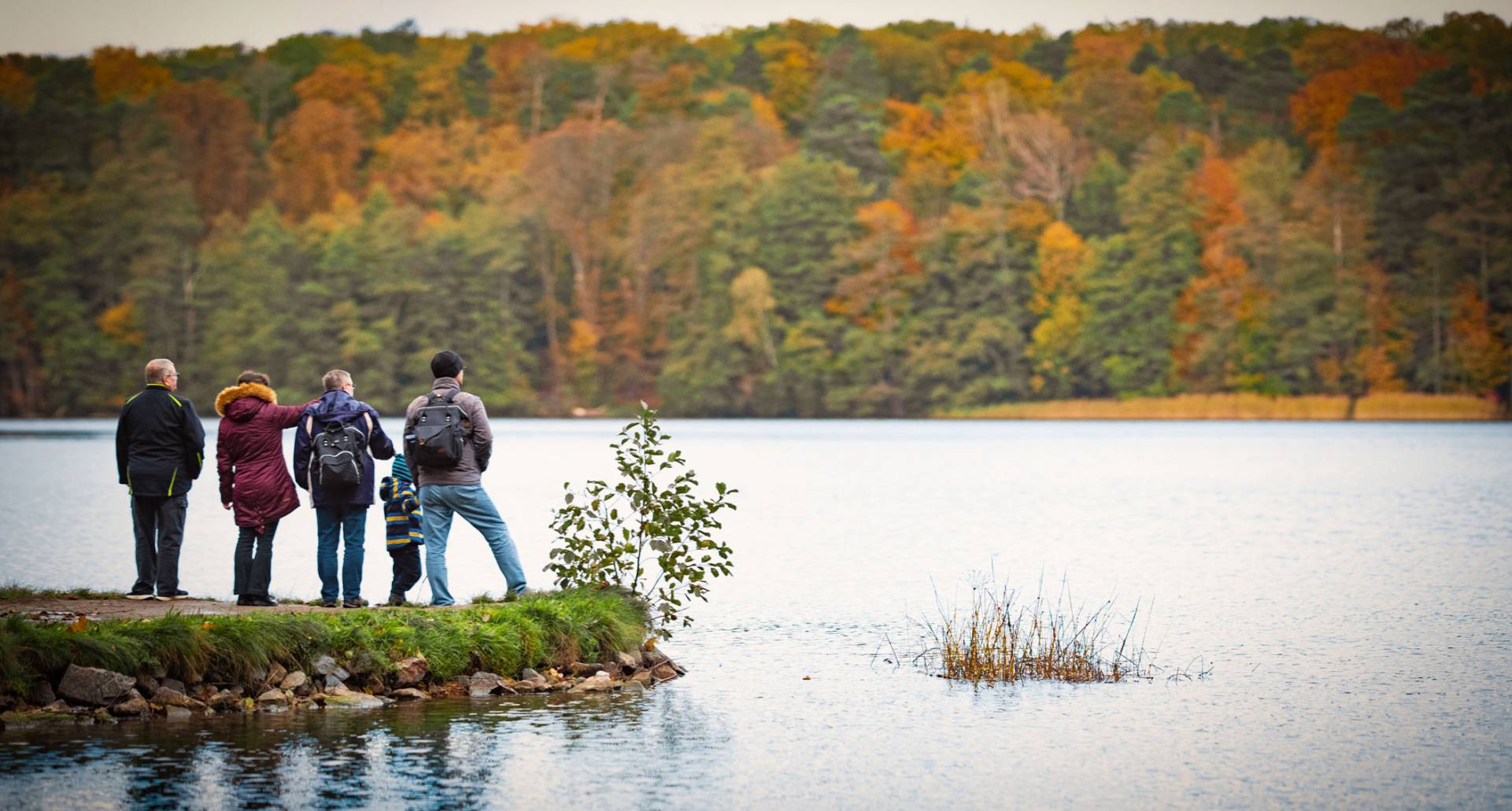 Schorfheide grüne Landschaft